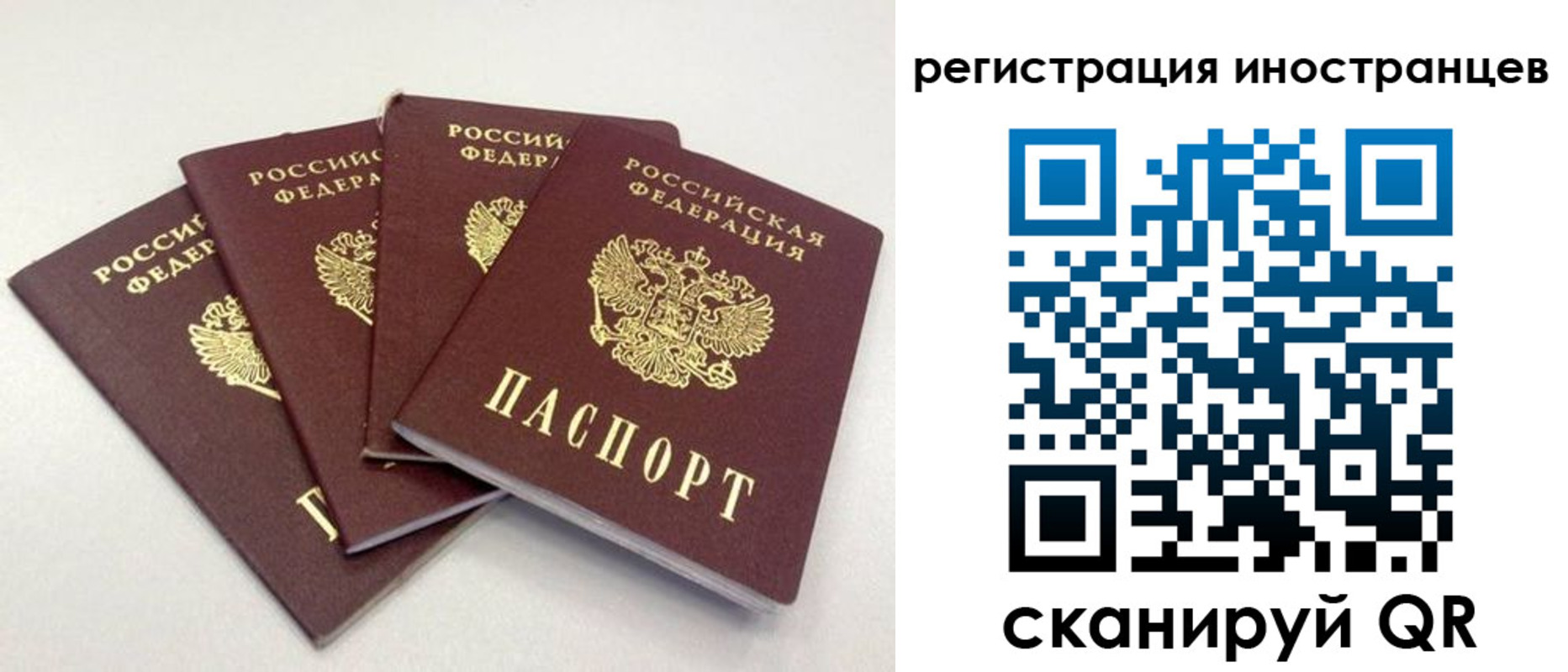 временная регистрация для школы в Петухово